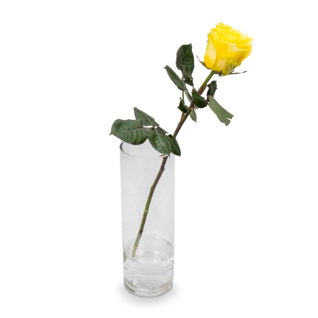 Kytice žlutých růží